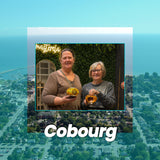 Mosaic Classes in Cobourg, ON