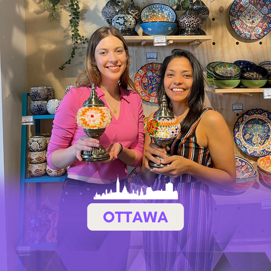 Mosaic Classes in Ottawa